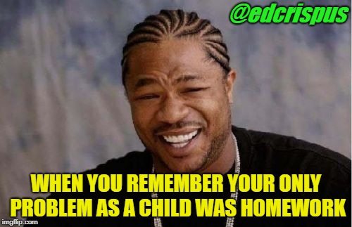 Yo Dawg Heard You | @edcrispus; WHEN YOU REMEMBER YOUR ONLY PROBLEM AS A CHILD WAS HOMEWORK | image tagged in memes,yo dawg heard you | made w/ Imgflip meme maker