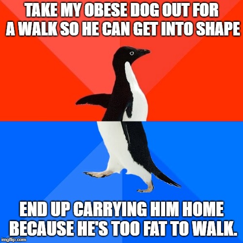 Socially Awesome Awkward Penguin Meme | TAKE MY OBESE DOG OUT FOR A WALK SO HE CAN GET INTO SHAPE; END UP CARRYING HIM HOME BECAUSE HE'S TOO FAT TO WALK. | image tagged in memes,socially awesome awkward penguin,AdviceAnimals | made w/ Imgflip meme maker