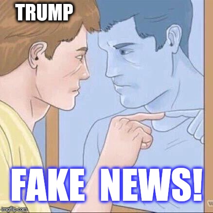 Pointing mirror guy | TRUMP FAKE  NEWS! | image tagged in pointing mirror guy,scumbag | made w/ Imgflip meme maker