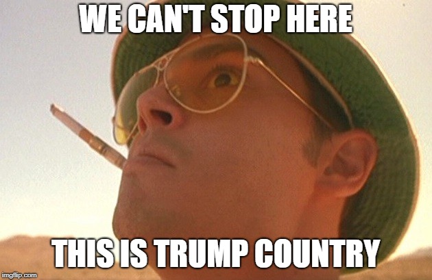 Fear and Loathing | WE CAN'T STOP HERE; THIS IS TRUMP COUNTRY | image tagged in fear and loathing | made w/ Imgflip meme maker