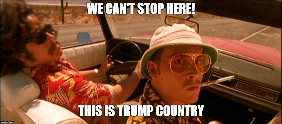 fear and loathing | WE CAN'T STOP HERE! THIS IS TRUMP COUNTRY | image tagged in fear and loathing | made w/ Imgflip meme maker