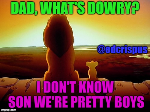 Lion King | DAD, WHAT'S DOWRY? @edcrispus; I DON'T KNOW SON WE'RE PRETTY BOYS | image tagged in memes,lion king | made w/ Imgflip meme maker