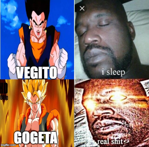 Sleeping Shaq Meme | VEGITO; GOGETA | image tagged in memes,sleeping shaq | made w/ Imgflip meme maker