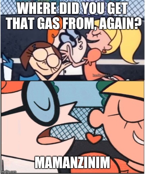 Dexters Lab | WHERE DID YOU GET THAT GAS FROM, AGAIN? MAMANZINIM | image tagged in dexters lab | made w/ Imgflip meme maker
