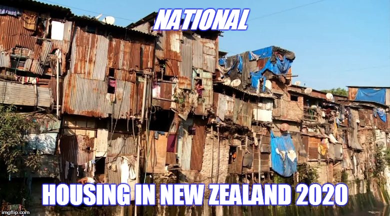 National | NATIONAL; HOUSING IN NEW ZEALAND 2020 | image tagged in election | made w/ Imgflip meme maker