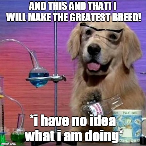 I Have No Idea What I Am Doing Dog Meme | AND THIS AND THAT! I WILL MAKE THE GREATEST BREED! *i have no idea what i am doing* | image tagged in memes,i have no idea what i am doing dog | made w/ Imgflip meme maker