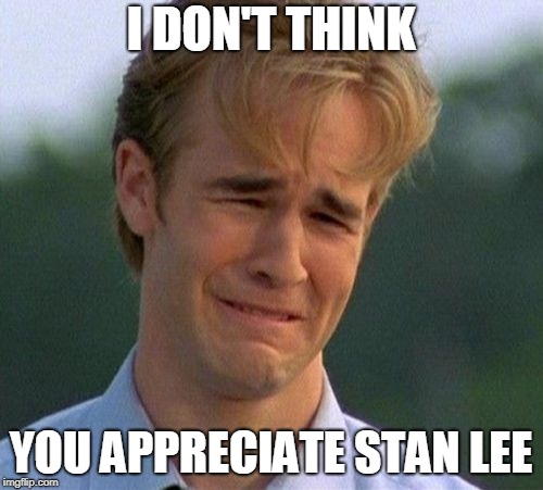 1990s First World Problems Meme | I DON'T THINK YOU APPRECIATE STAN LEE | image tagged in memes,1990s first world problems | made w/ Imgflip meme maker