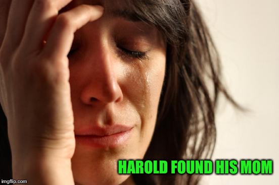 First World Problems Meme | HAROLD FOUND HIS MOM | image tagged in memes,first world problems | made w/ Imgflip meme maker