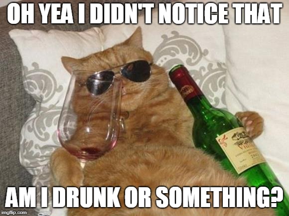 Funny Cat Birthday | OH YEA I DIDN'T NOTICE THAT AM I DRUNK OR SOMETHING? | image tagged in funny cat birthday | made w/ Imgflip meme maker