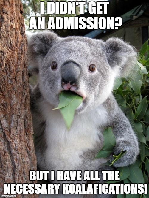 Surprised Koala Meme | I DIDN'T GET AN ADMISSION? BUT I HAVE ALL THE NECESSARY KOALAFICATIONS! | image tagged in memes,surprised koala | made w/ Imgflip meme maker