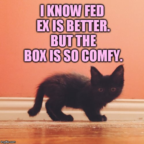 I KNOW FED EX IS BETTER. BUT THE BOX IS SO COMFY. | made w/ Imgflip meme maker
