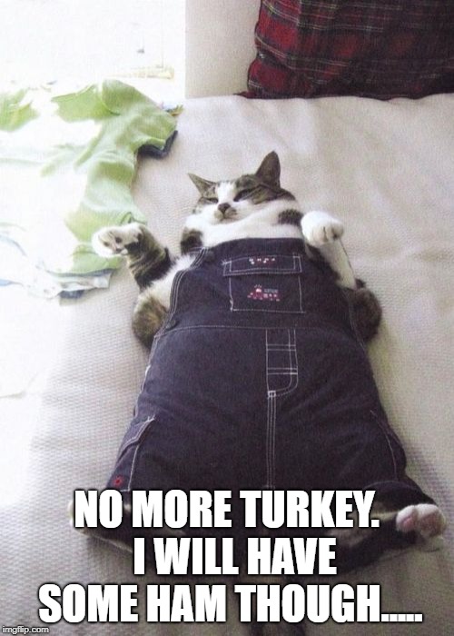 Fat Cat | NO MORE TURKEY.  I WILL HAVE SOME HAM THOUGH..... | image tagged in memes,fat cat | made w/ Imgflip meme maker