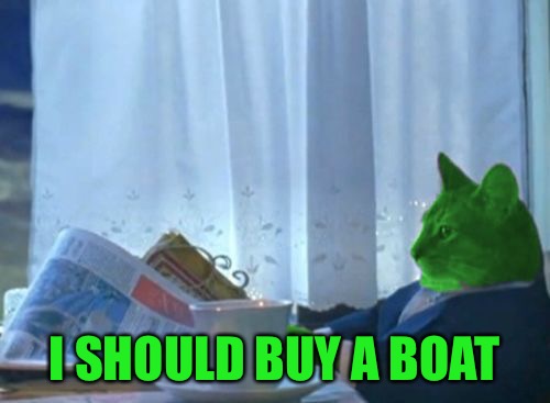 I Should Buy a Boat RayCat | I SHOULD BUY A BOAT | image tagged in i should buy a boat raycat | made w/ Imgflip meme maker