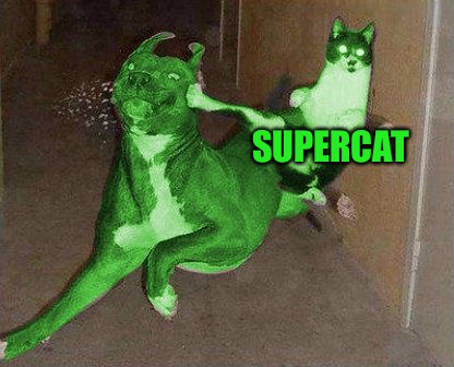 RayCat kicking RayDog | SUPERCAT | image tagged in raycat kicking raydog | made w/ Imgflip meme maker