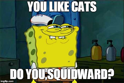 Don't You Squidward | YOU LIKE CATS; DO YOU,SQUIDWARD? | image tagged in memes,dont you squidward | made w/ Imgflip meme maker