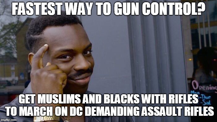 Guns in Dangerous hands | FASTEST WAY TO GUN CONTROL? GET MUSLIMS AND BLACKS WITH RIFLES TO MARCH ON DC DEMANDING ASSAULT RIFLES | image tagged in memes,roll safe think about it,muslim,black,guns,gun control | made w/ Imgflip meme maker