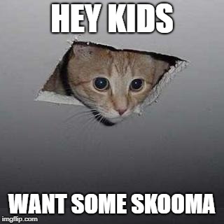 Ceiling Cat Meme | HEY KIDS; WANT SOME SKOOMA | image tagged in memes,ceiling cat | made w/ Imgflip meme maker
