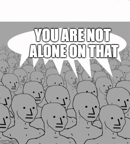 NPCProgramScreed | YOU ARE NOT ALONE ON THAT | image tagged in npcprogramscreed | made w/ Imgflip meme maker