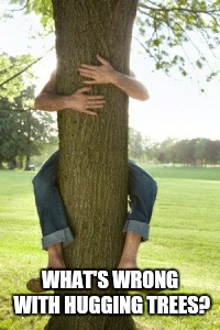 I mean, I don't see the problem in caring about the environment. | WHAT'S WRONG WITH HUGGING TREES? | image tagged in tree hugger,why not | made w/ Imgflip meme maker