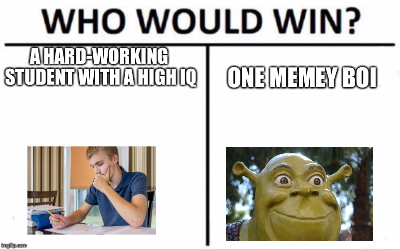 Who Would Win? Meme | A HARD-WORKING STUDENT WITH A HIGH IQ; ONE MEMEY BOI | image tagged in memes,who would win | made w/ Imgflip meme maker