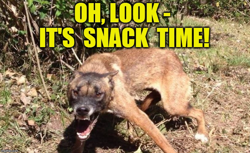 OH, LOOK - IT'S  SNACK  TIME! | made w/ Imgflip meme maker