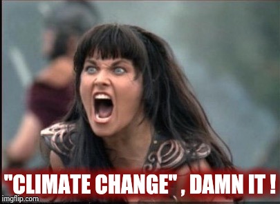 Screaming Woman | "CLIMATE CHANGE" , DAMN IT ! | image tagged in screaming woman | made w/ Imgflip meme maker