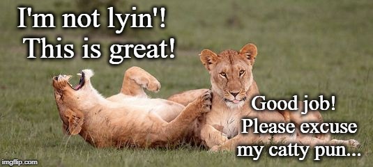 laughing lioness | I'm not lyin'!  This is great! Good job!  Please excuse my catty pun... | image tagged in laughing lioness | made w/ Imgflip meme maker