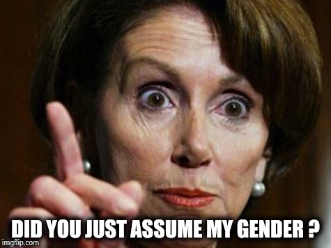 Nancy Pelosi No Spending Problem | DID YOU JUST ASSUME MY GENDER ? | image tagged in nancy pelosi no spending problem | made w/ Imgflip meme maker