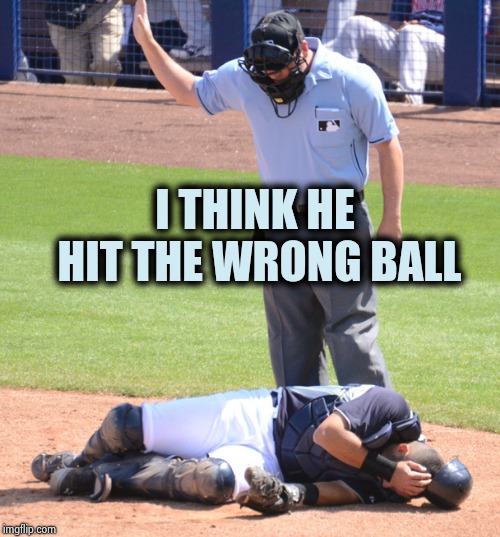 Umpire and Catcher | I THINK HE HIT THE WRONG BALL | image tagged in umpire and catcher | made w/ Imgflip meme maker