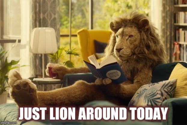 Lion relaxing | JUST LION AROUND TODAY | image tagged in lion relaxing | made w/ Imgflip meme maker