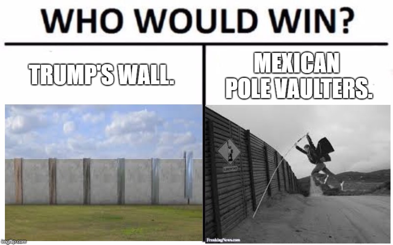 The wall. | TRUMP'S WALL. MEXICAN POLE VAULTERS. | image tagged in trump wall | made w/ Imgflip meme maker