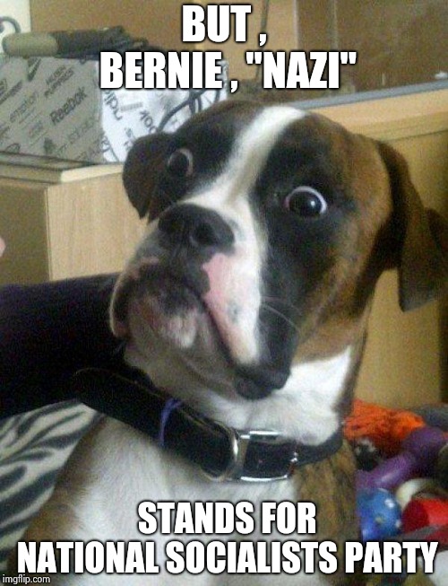 excuse me what the fuck | BUT , BERNIE , "NAZI" STANDS FOR NATIONAL SOCIALISTS PARTY | image tagged in excuse me what the fuck | made w/ Imgflip meme maker