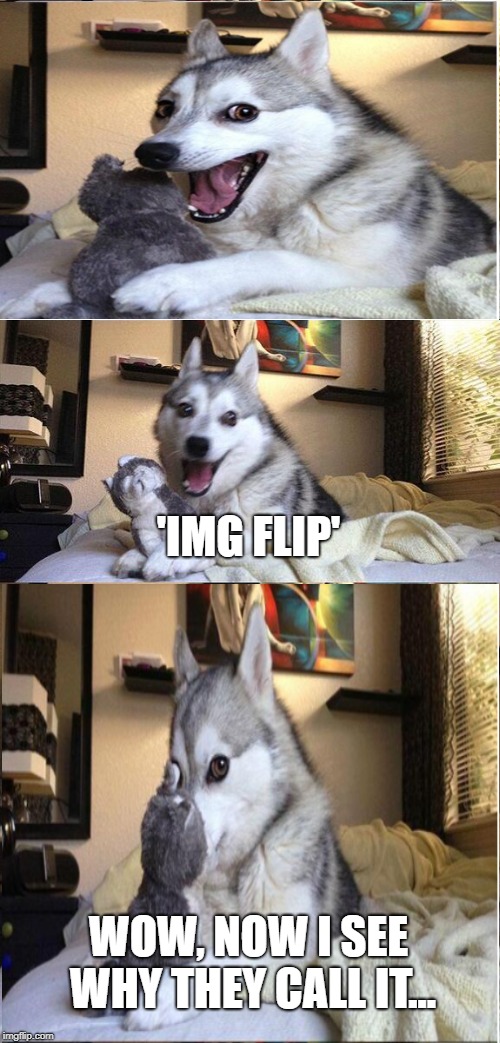 Dog Pun Ban | 'IMG FLIP'; WOW, NOW I SEE WHY THEY CALL IT... | image tagged in funny memes,bad pun dogs,imgflip,flipped | made w/ Imgflip meme maker