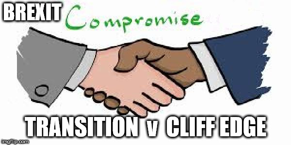 Brexit - Transition v Cliff edge | BREXIT; TRANSITION  v  CLIFF EDGE | image tagged in brexit,eu,mrs may,chequers deal,boris,remain | made w/ Imgflip meme maker