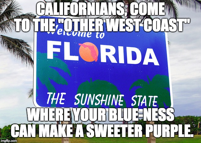 Florida | CALIFORNIANS, COME TO THE "OTHER WEST COAST"; WHERE YOUR BLUE-NESS CAN MAKE A SWEETER PURPLE. | image tagged in florida | made w/ Imgflip meme maker