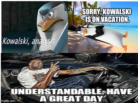 kowalski! | image tagged in kowalski analysis | made w/ Imgflip meme maker