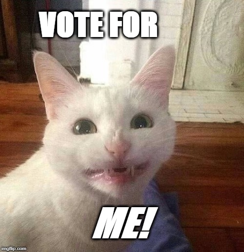 vote for ME | VOTE FOR; ME! | image tagged in politics,political meme,political humor,politicians,meme | made w/ Imgflip meme maker