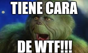 wtf face | TIENE CARA; DE WTF!!! | image tagged in memes | made w/ Imgflip meme maker