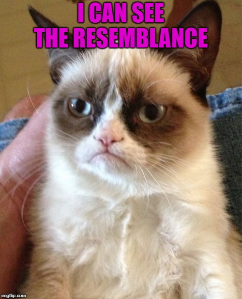Grumpy Cat Meme | I CAN SEE THE RESEMBLANCE | image tagged in memes,grumpy cat | made w/ Imgflip meme maker
