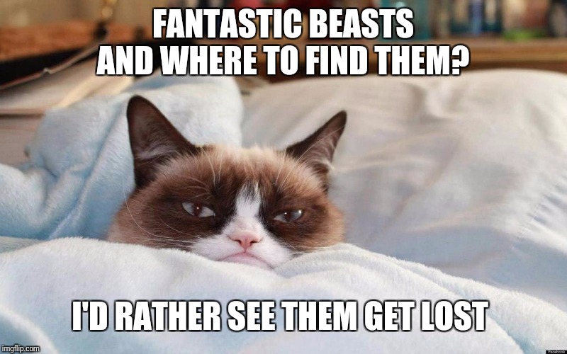 grumpy cat bed | FANTASTIC BEASTS AND WHERE TO FIND THEM? I'D RATHER SEE THEM GET LOST | image tagged in grumpy cat bed | made w/ Imgflip meme maker