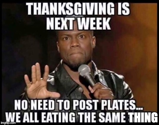 THING | image tagged in thanksgiving,selfie | made w/ Imgflip meme maker