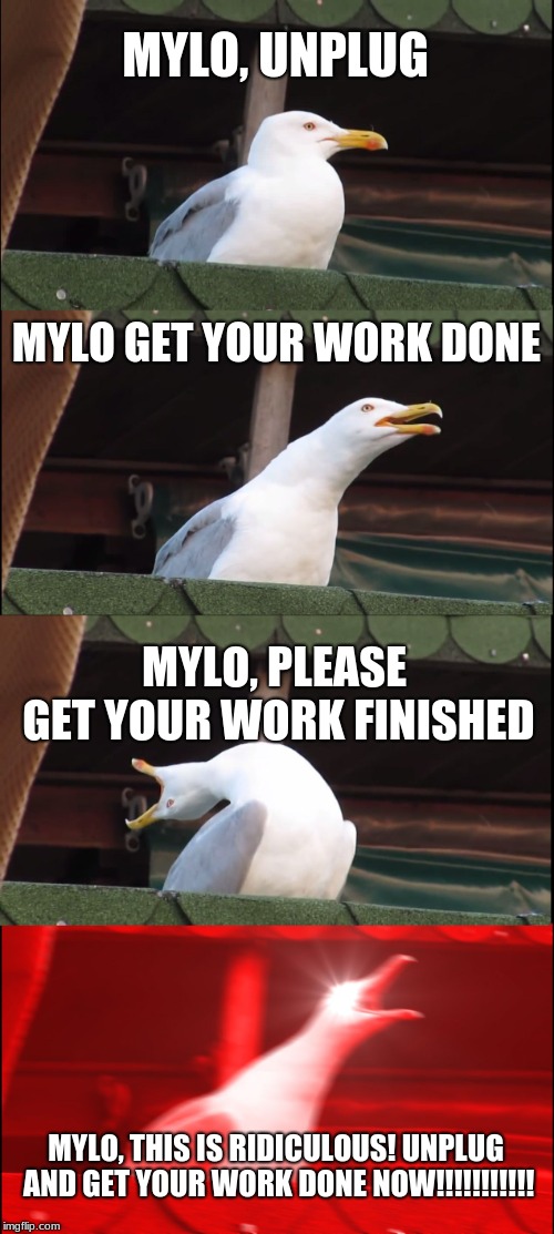 Inhaling Seagull | MYLO, UNPLUG; MYLO GET YOUR WORK DONE; MYLO, PLEASE GET YOUR WORK FINISHED; MYLO, THIS IS RIDICULOUS! UNPLUG AND GET YOUR WORK DONE NOW!!!!!!!!!!! | image tagged in memes,inhaling seagull | made w/ Imgflip meme maker