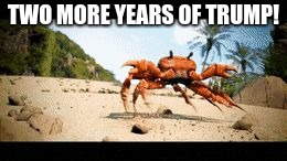 Crab rave gif | TWO MORE YEARS OF TRUMP! | image tagged in crab rave gif | made w/ Imgflip meme maker