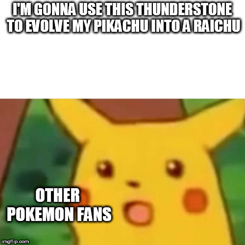 Surprised Pikachu | I'M GONNA USE THIS THUNDERSTONE TO EVOLVE MY PIKACHU INTO A RAICHU; OTHER POKEMON FANS | image tagged in memes,surprised pikachu,pokemon | made w/ Imgflip meme maker