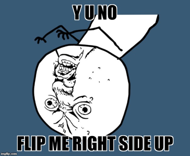 Y U November, flip me over, seriously, the blood is rushing to my head. | image tagged in y u no,funny,memes,event,november | made w/ Imgflip meme maker