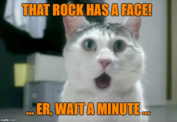 OMG Cat Meme | THAT ROCK HAS A FACE! ... ER, WAIT A MINUTE ... | image tagged in memes,omg cat | made w/ Imgflip meme maker