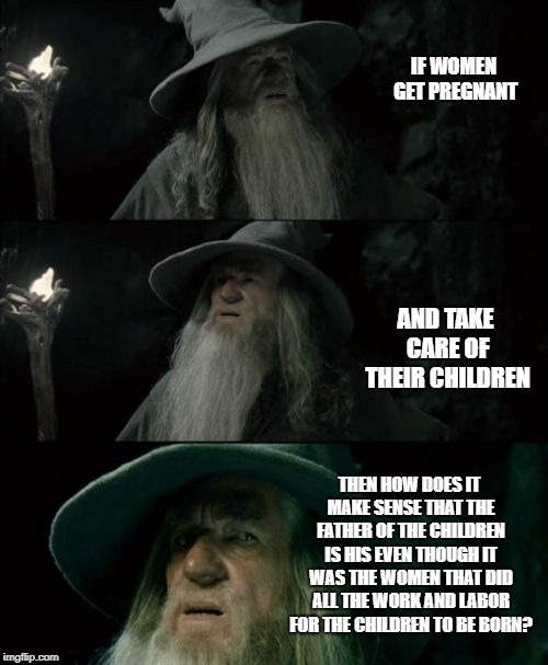 Confused Gandalf Meme | IF WOMEN GET PREGNANT; AND TAKE CARE OF THEIR CHILDREN; THEN HOW DOES IT MAKE SENSE THAT THE FATHER OF THE CHILDREN IS HIS EVEN THOUGH IT WAS THE WOMEN THAT DID ALL THE WORK AND LABOR FOR THE CHILDREN TO BE BORN? | image tagged in memes,confused gandalf | made w/ Imgflip meme maker