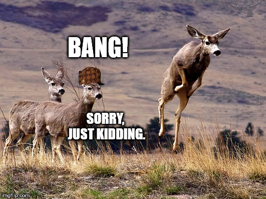 Even deer can be assholes when deer season opens. | BANG! SORRY, JUST KIDDING. | image tagged in jumping deer | made w/ Imgflip meme maker
