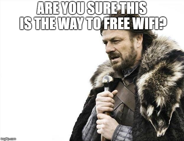 Brace Yourselves X is Coming | ARE YOU SURE THIS IS THE WAY TO FREE WIFI? | image tagged in memes,brace yourselves x is coming | made w/ Imgflip meme maker