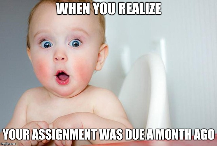 Ooops | WHEN YOU REALIZE; YOUR ASSIGNMENT WAS DUE A MONTH AGO | image tagged in funny memes | made w/ Imgflip meme maker